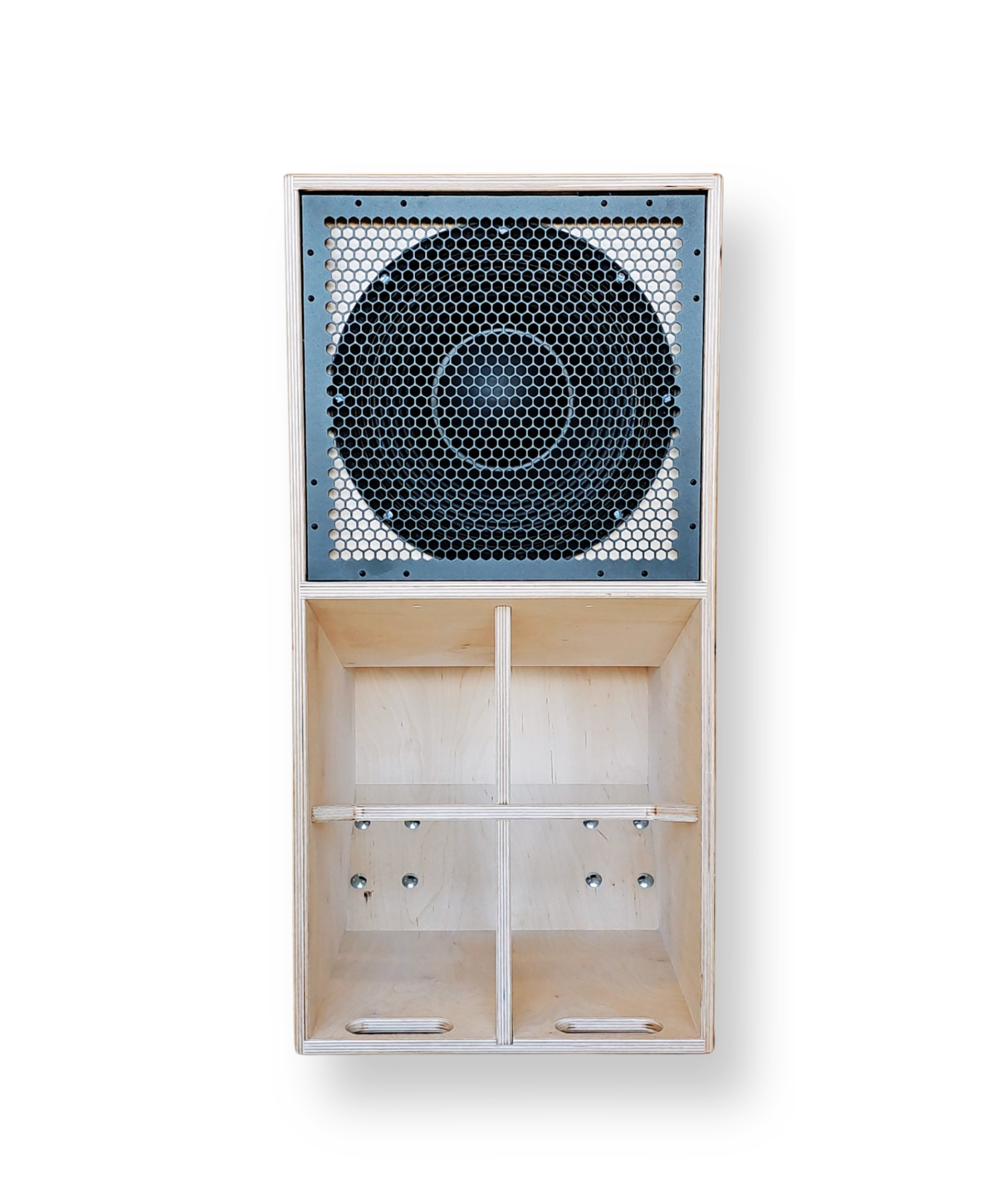 Faya 12-Zoll-Subwoofer