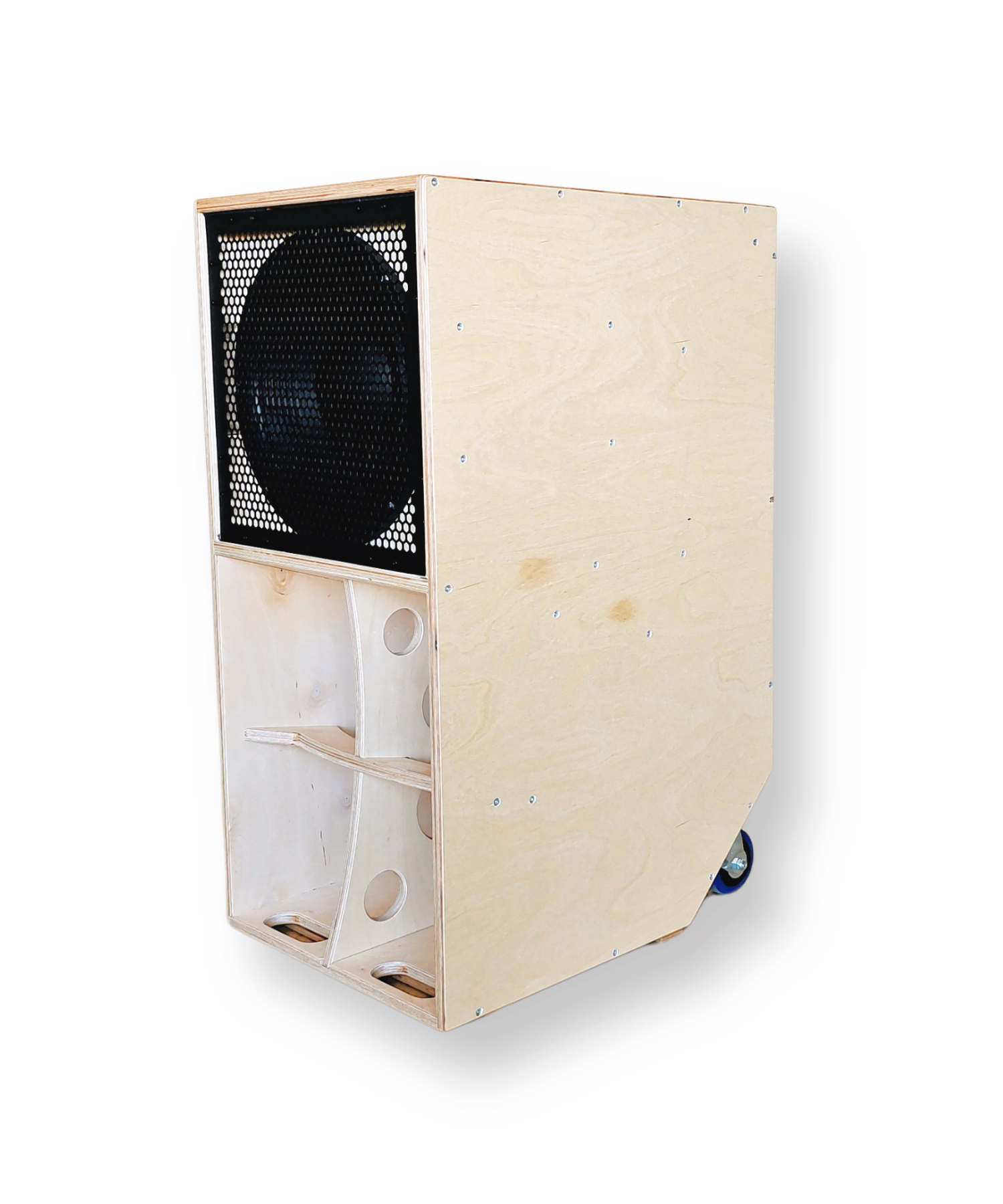 Faya 12-Zoll-Subwoofer