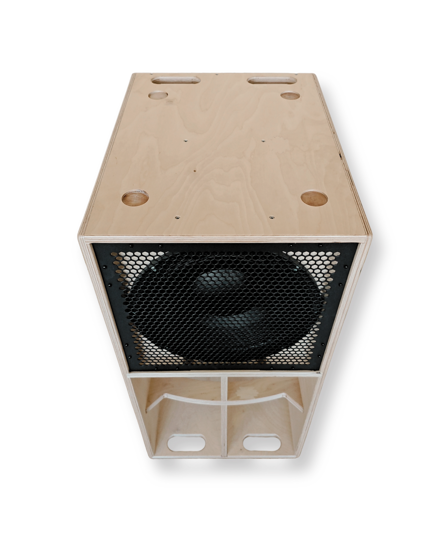 Faya 12-inch Subwoofer
