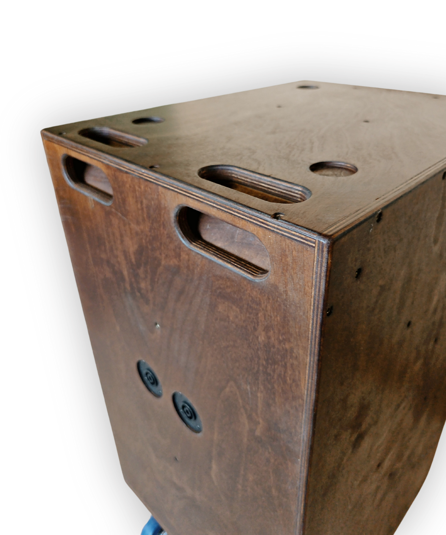 Faya 12-inch Subwoofer