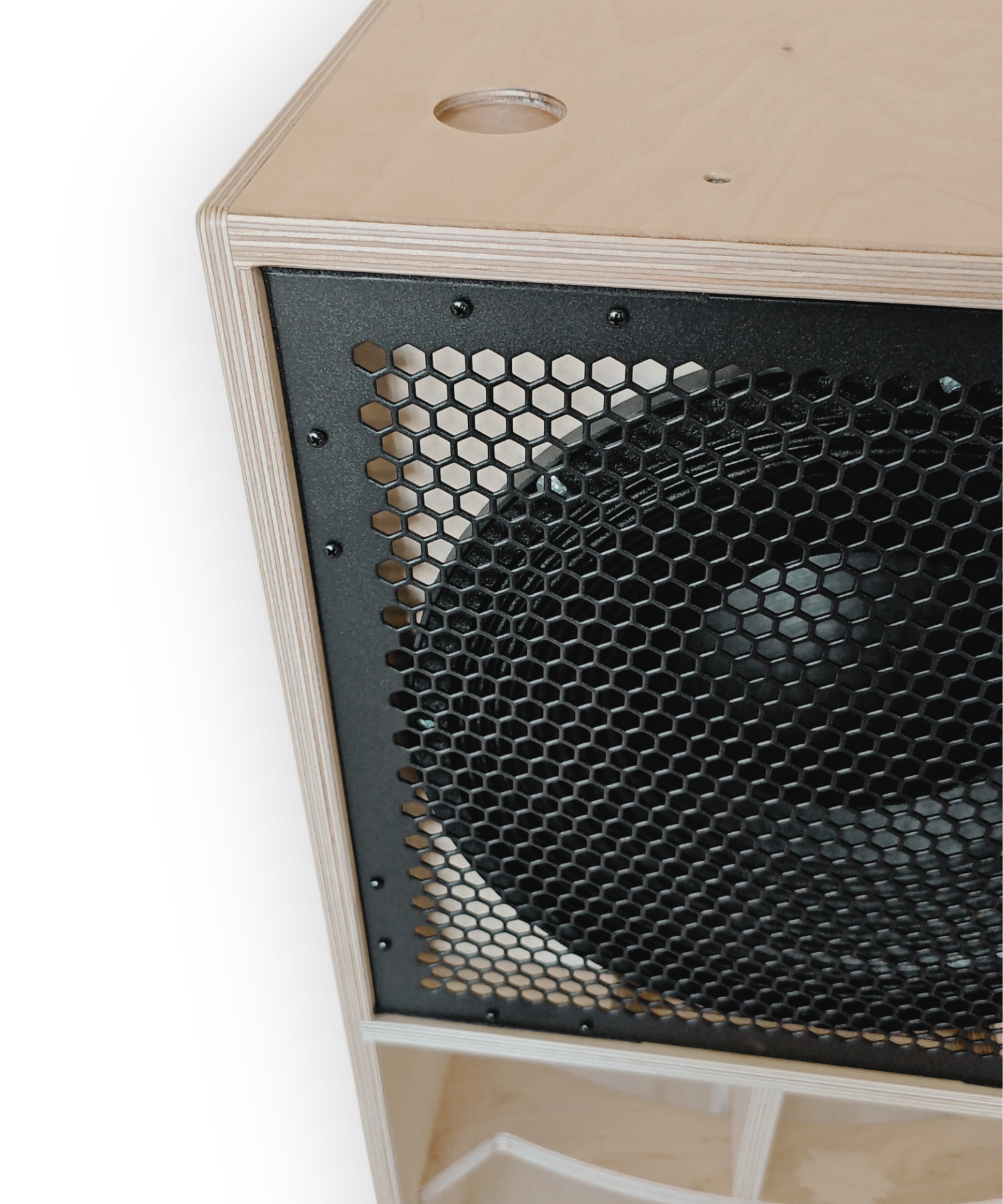 Faya 12-inch Subwoofer