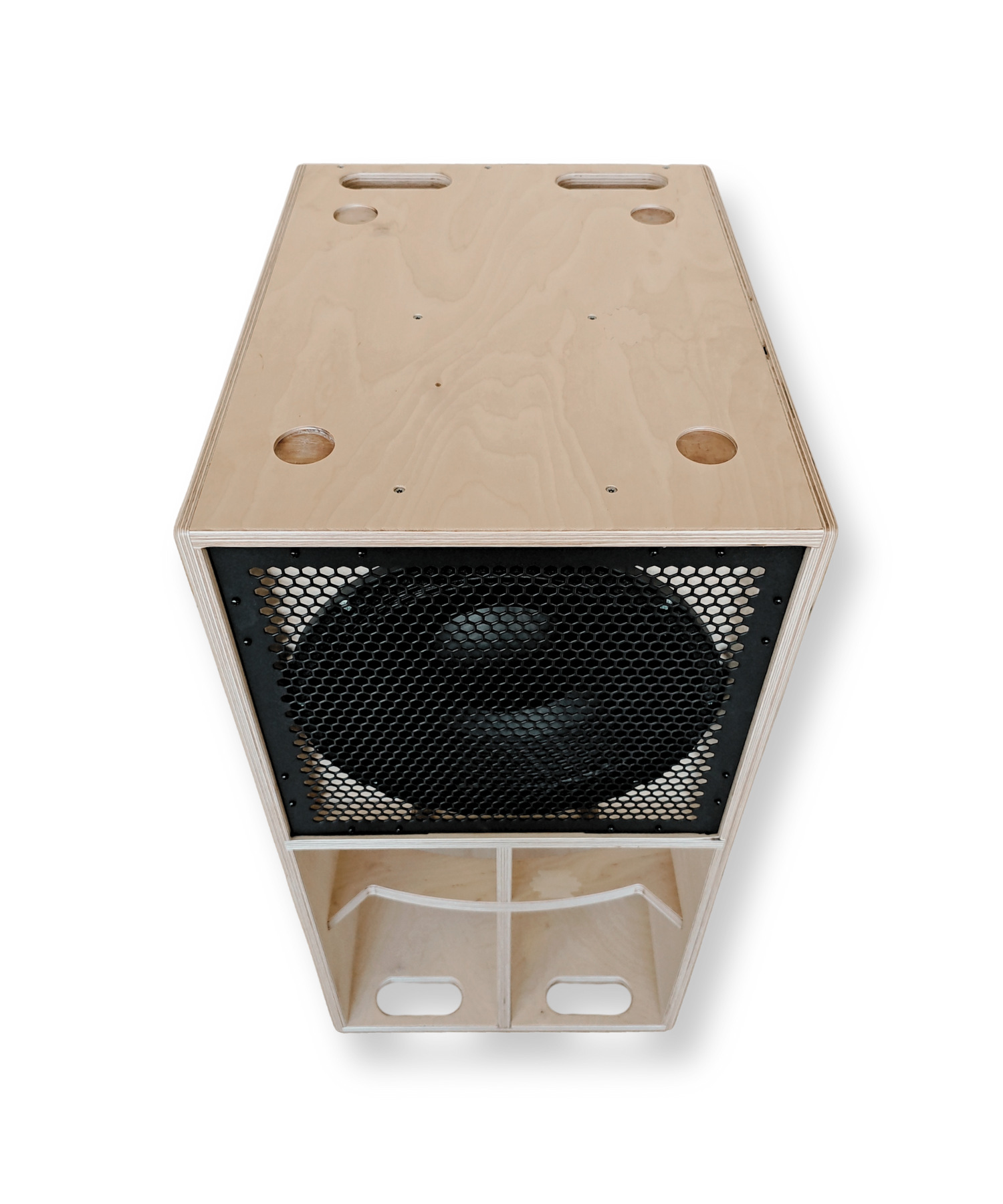 Faya 12-inch Subwoofer
