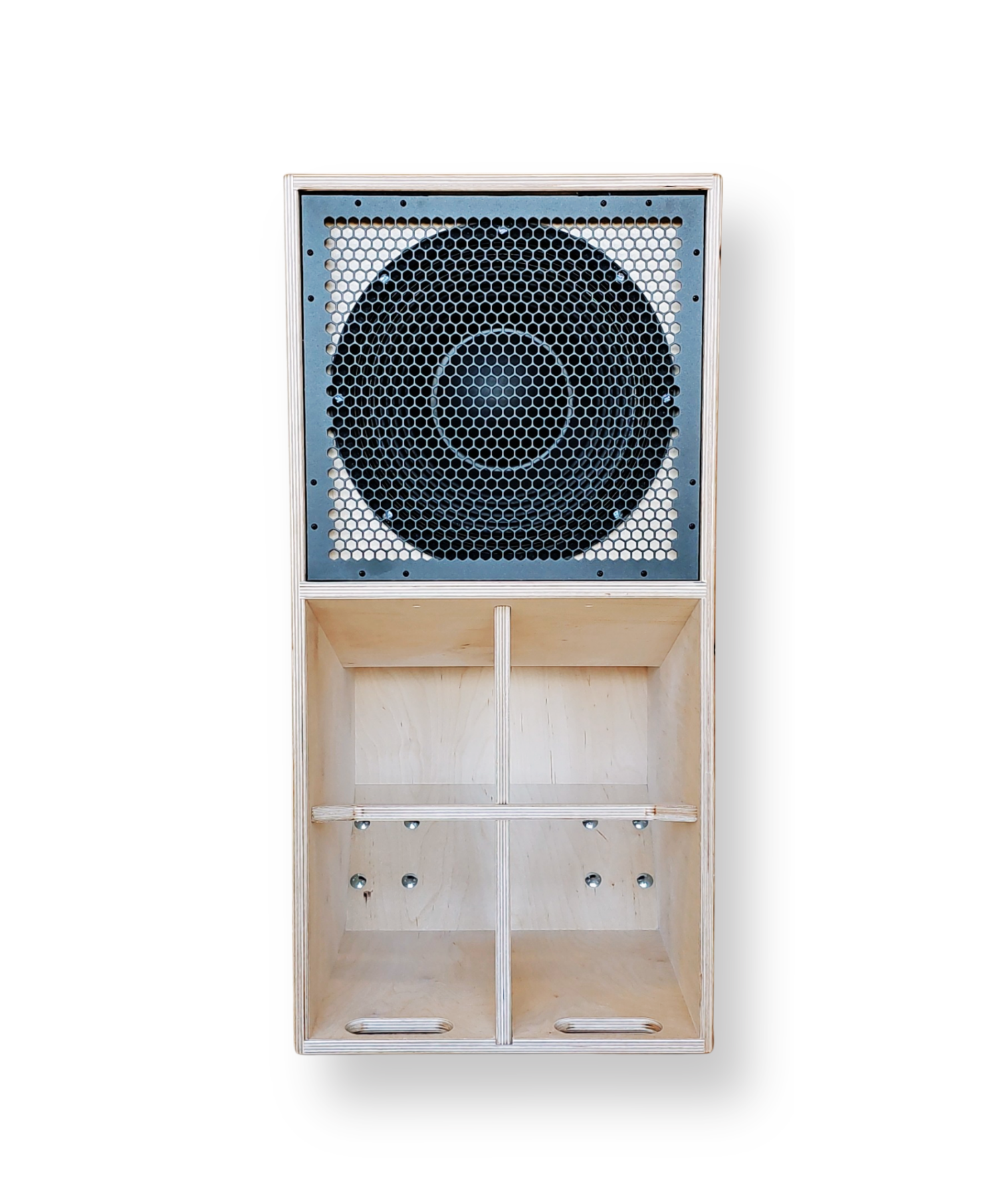 Faya 12-inch Subwoofer