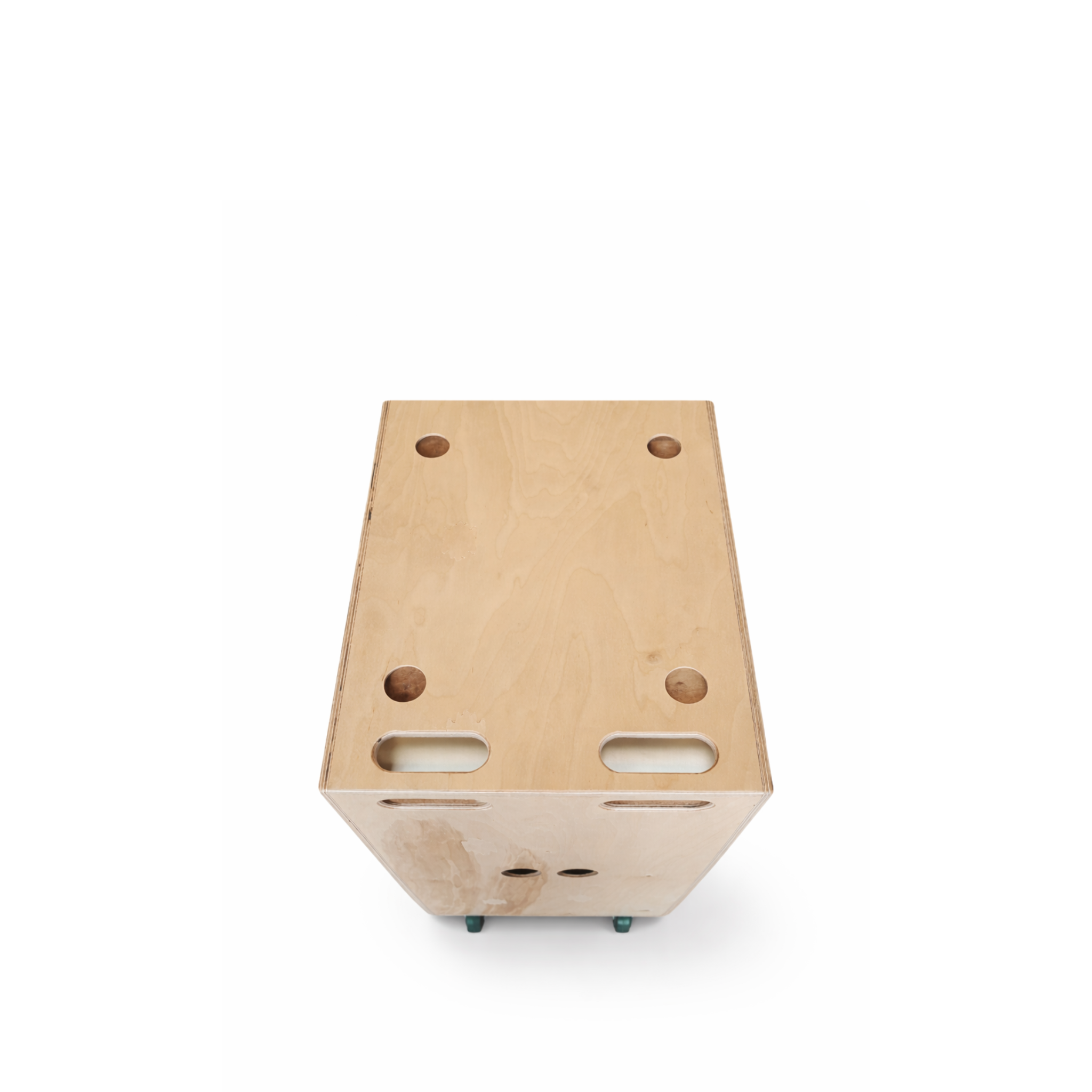 Faya 12-inch Subwoofer