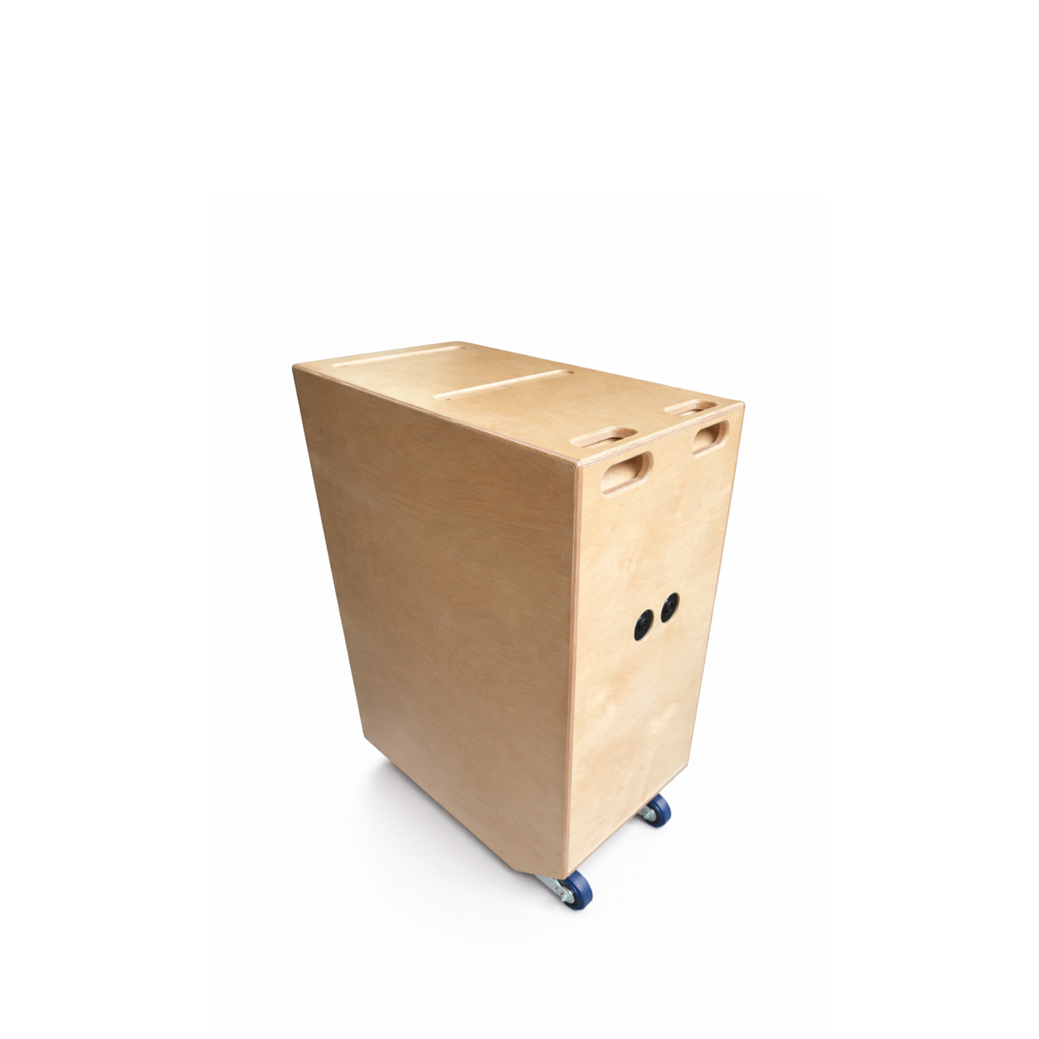 Caisson de basses Faya 12 pouces